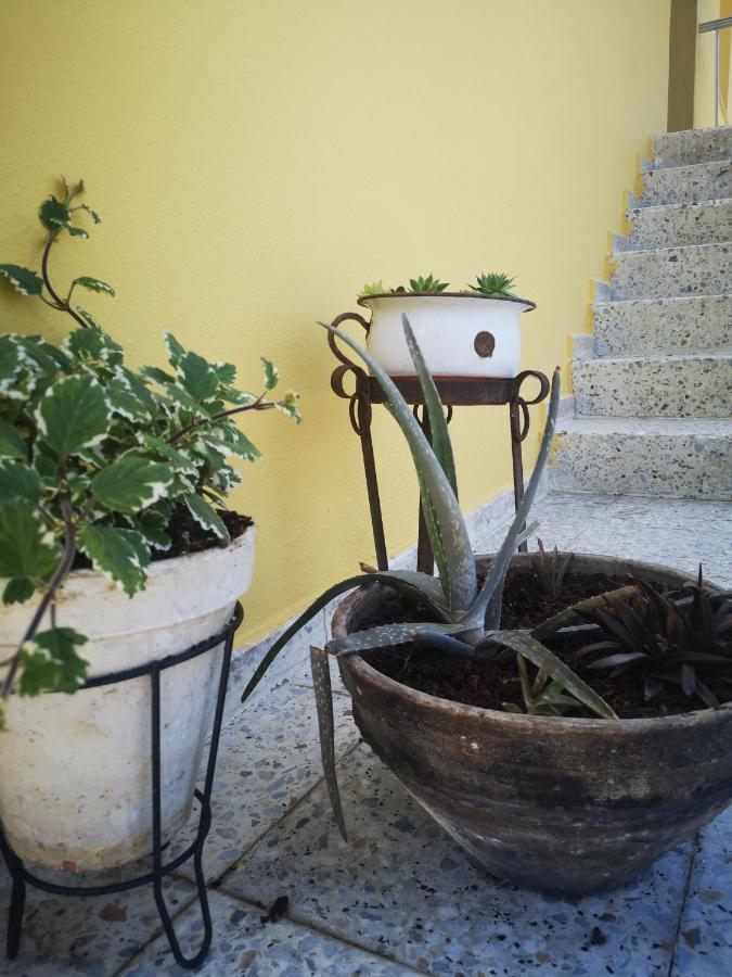 A Maquia Do Pousavedra Sober Kültér fotó