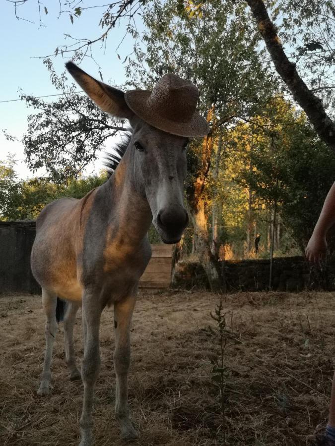 A Maquia Do Pousavedra Sober Kültér fotó