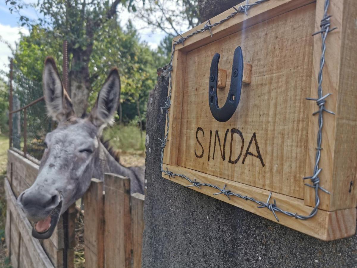 A Maquia Do Pousavedra Sober Kültér fotó
